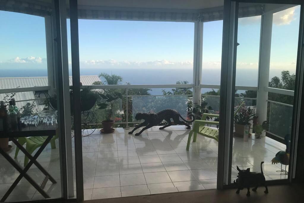 St Leu -Villa D'Artiste, Superbe Vue Mer, Piscine Chauffee Saint-Leu Exteriör bild